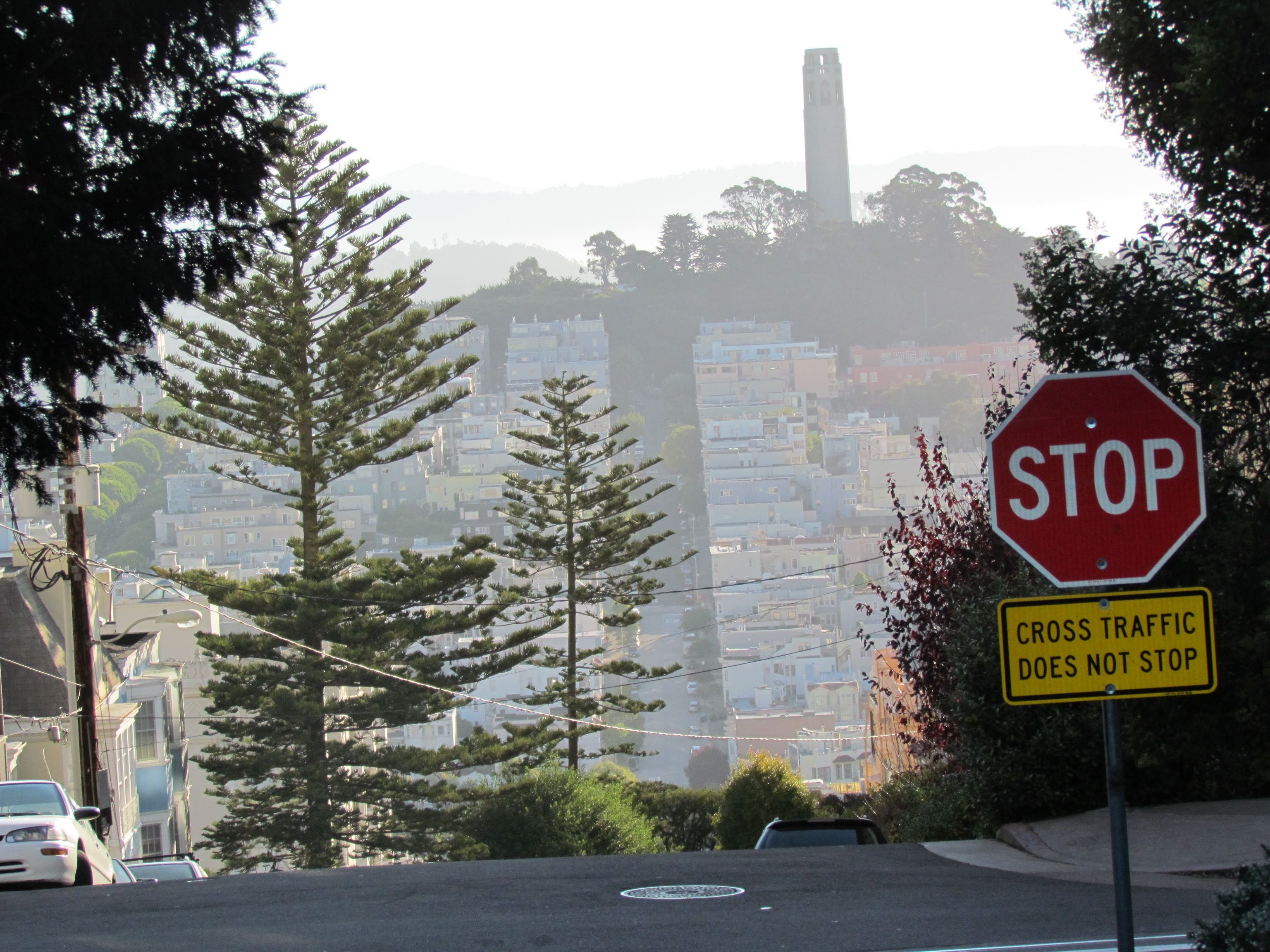 coittower